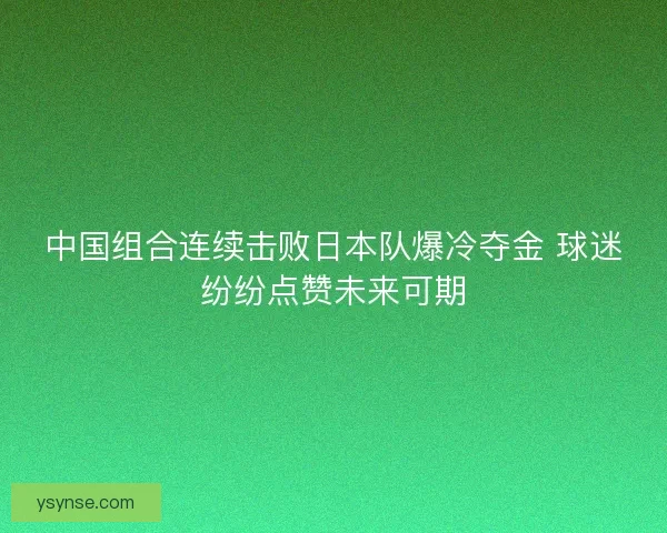 中国组合连续击败日本队爆冷夺金 球迷纷纷点赞未来可期